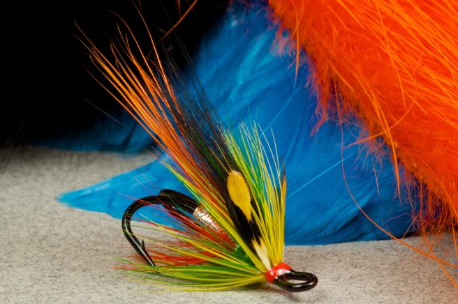 12 Spey Hackle Feathers – Coral Red – Salmon Fly Tying Material, Marabou Plumes