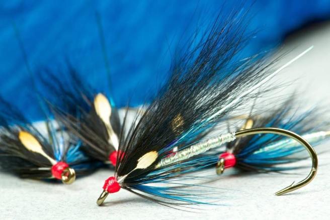 10155191_10203656815875672_4628946836212709301_n